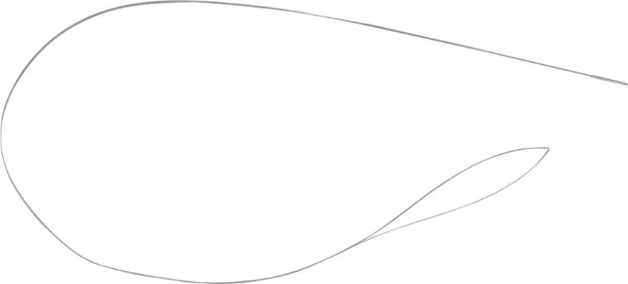 S3117 Loop Wire Instrument Ø0.8 mm for Arthroscopic Surgery